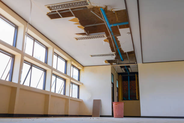 Best Residential water damage restoration  in Marion, KY
