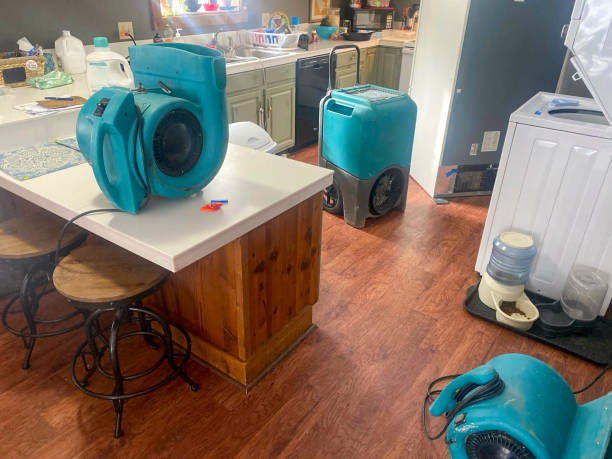 Best Water damage restoration specialists  in Marion, KY