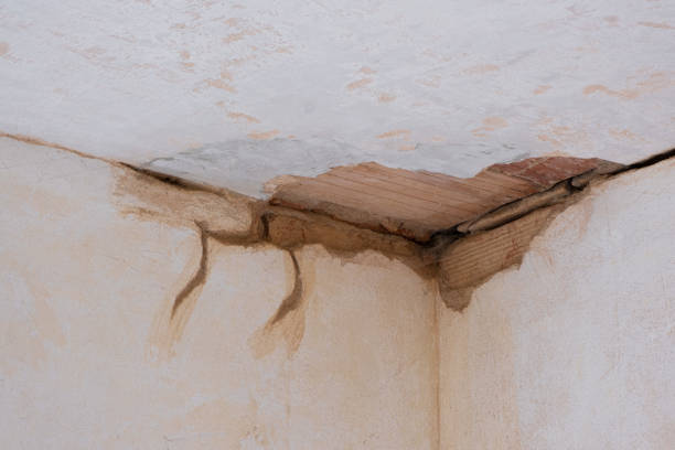 Best Fire Damage Restoration  in Marion, KY