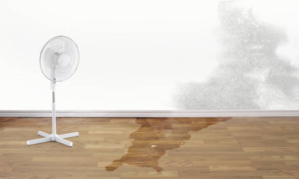 Best 24-hour water damage restoration  in Marion, KY