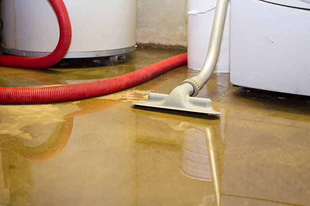 Best Flooded house restoration  in Marion, KY