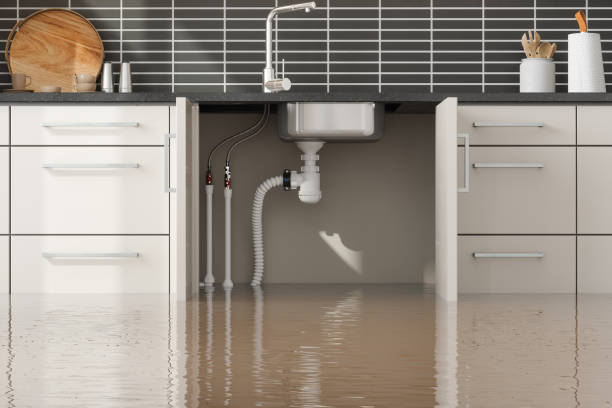 Best Flooded house restoration  in Marion, KY