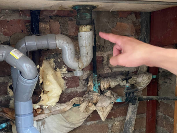 Best Local water damage restoration  in Marion, KY