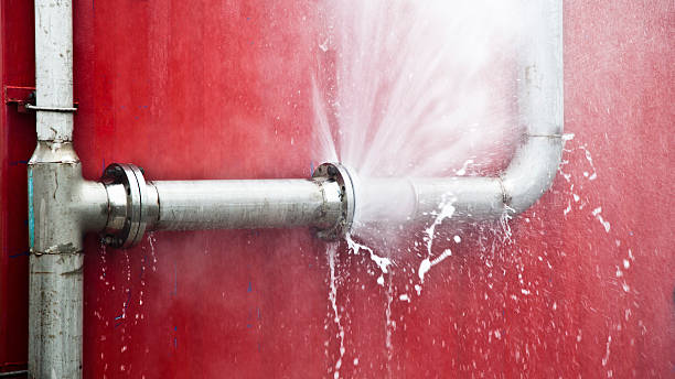 Best Basement water damage restoration  in Marion, KY