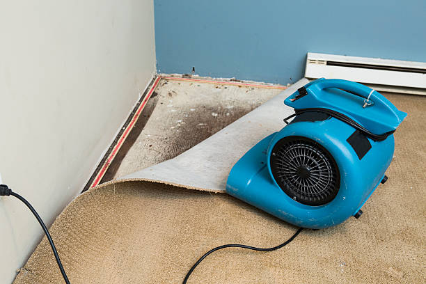 Best 24/7 water damage repair  in Marion, KY